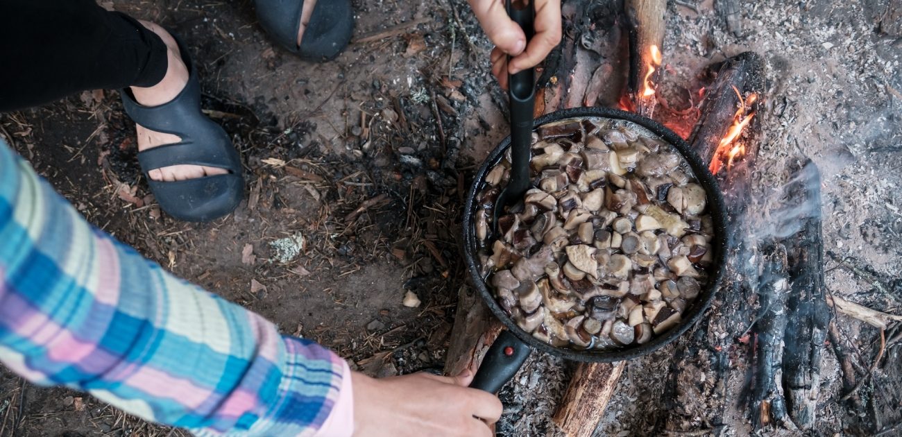 طهي الطعام في الطبيعة